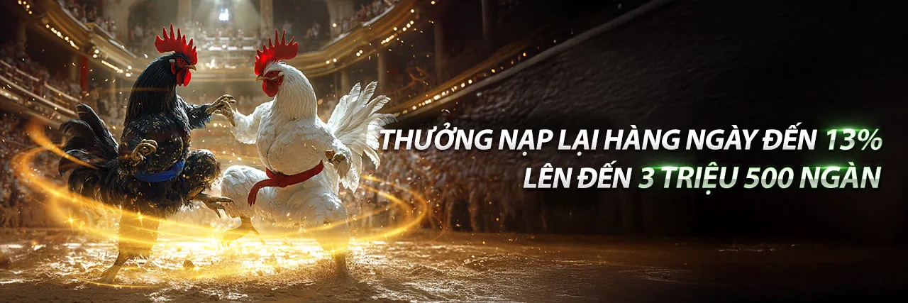 Trực tiếp Đá Gà 13 10
